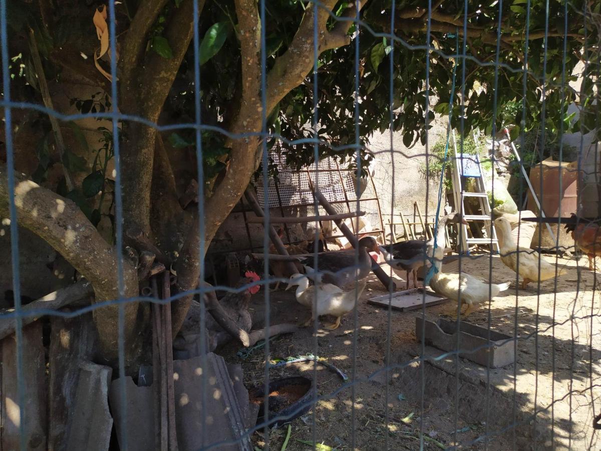 Casa Da Rota Dos Moinhos Leilighet Lousã Eksteriør bilde